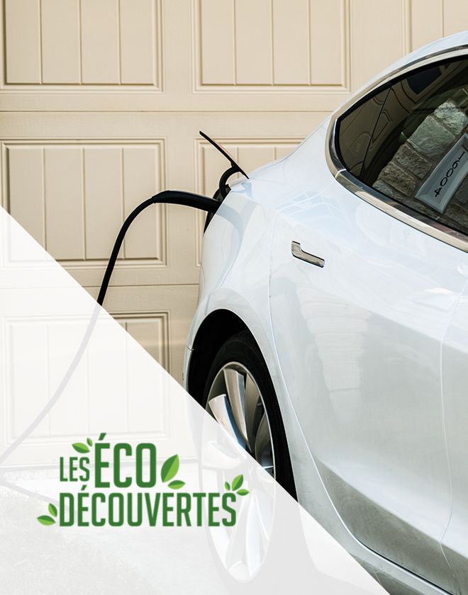 Les Écodécouvertes : Voitures électriques