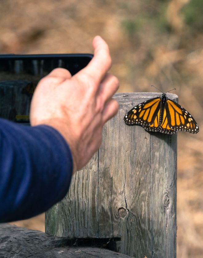 Bioblitz au parc-nature Harwood