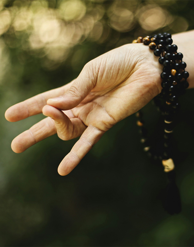 Discover Qi-Gong