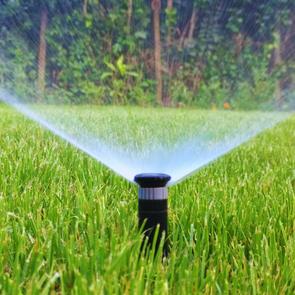 The Ville de Vaudreuil-Dorion extends its ban on lawn watering until October 1st
