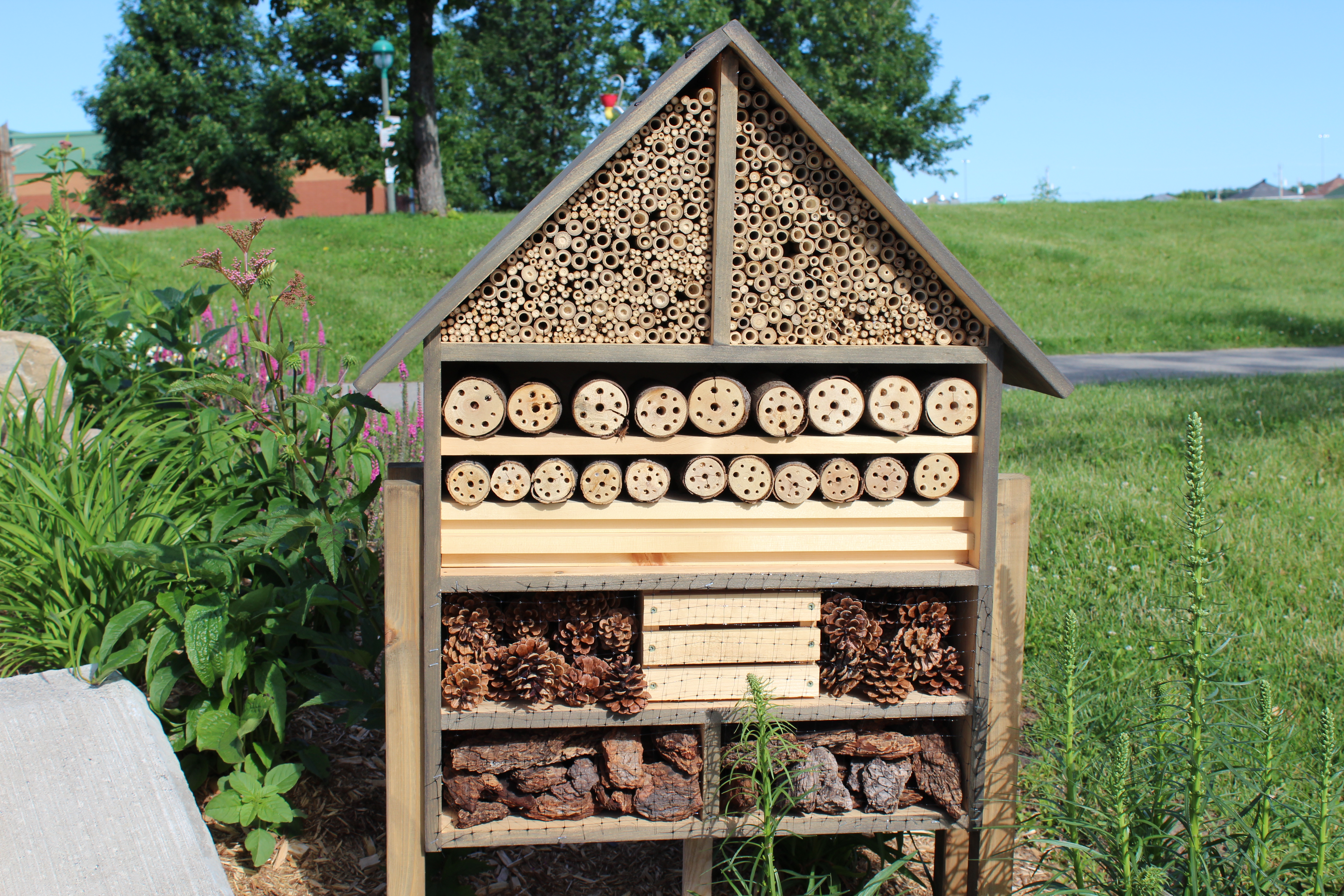 IMG_0302.JPG (8.27 MB)