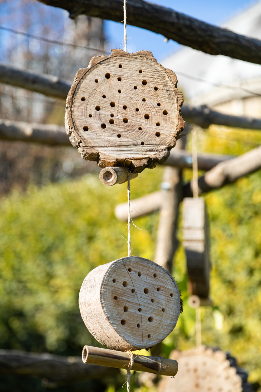 iStock-1074140670.jpg (620 KB)