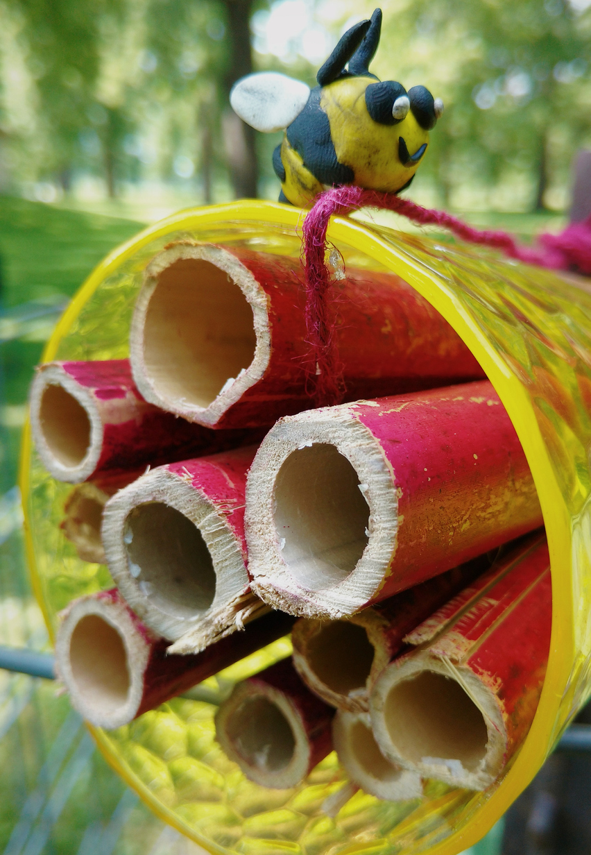 iStock-989946090.jpg (671 KB)